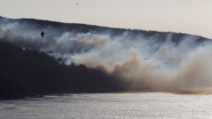 Onemi decretó alerta roja por incendio forestal en Laguna Verde de Valparaíso