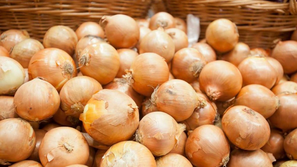 Chile realiza importante descubrimiento: la cáscara de la cebolla combatiría el cáncer