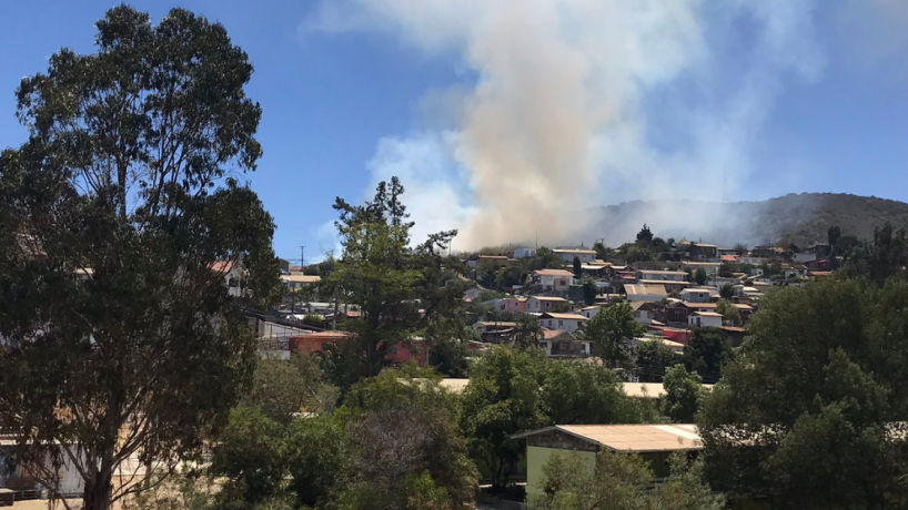 Onemi declaró Alerta Roja para la ciudad de Viña del Mar por incendio forestal