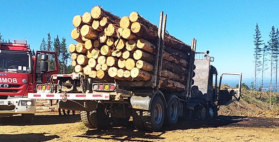 SII y robo de madera en macrozona sur: políticos reaccionan trasversalmente a la denuncia del gobernador del Biobío