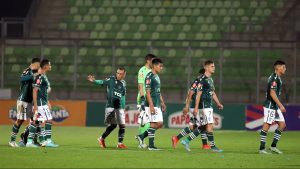 Santiago Wanderers se complica en la parte baja de la Primera B tras perder ante Deportes Santa Cruz