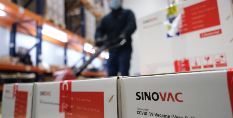 Alexis Kalergis y planta de vacunas Sinovac en Chile: “Su primera función va a ser el envasado y la distribución”