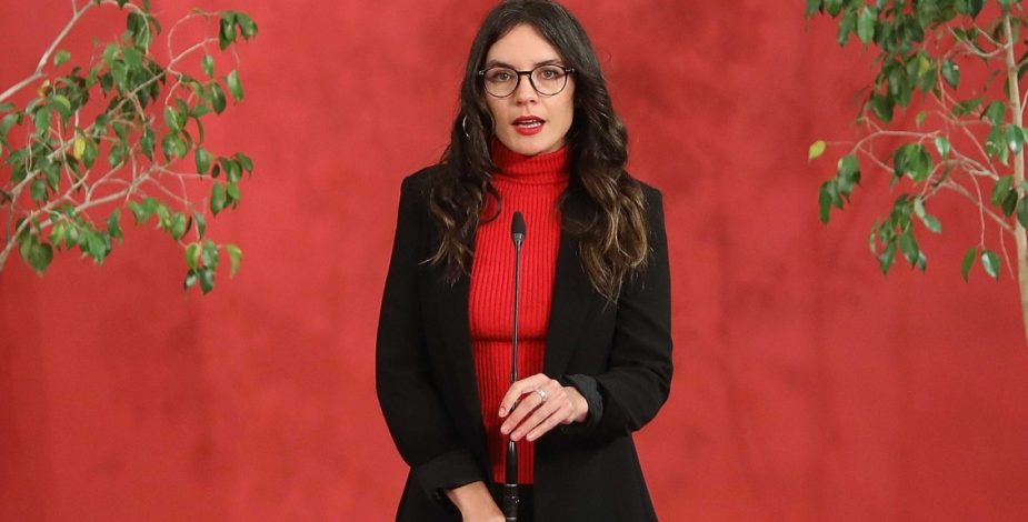 Ministra Vallejo afirma que solicitarán informes a Carabineros tras investigación a director de Dipolcar Luigi Lopresti