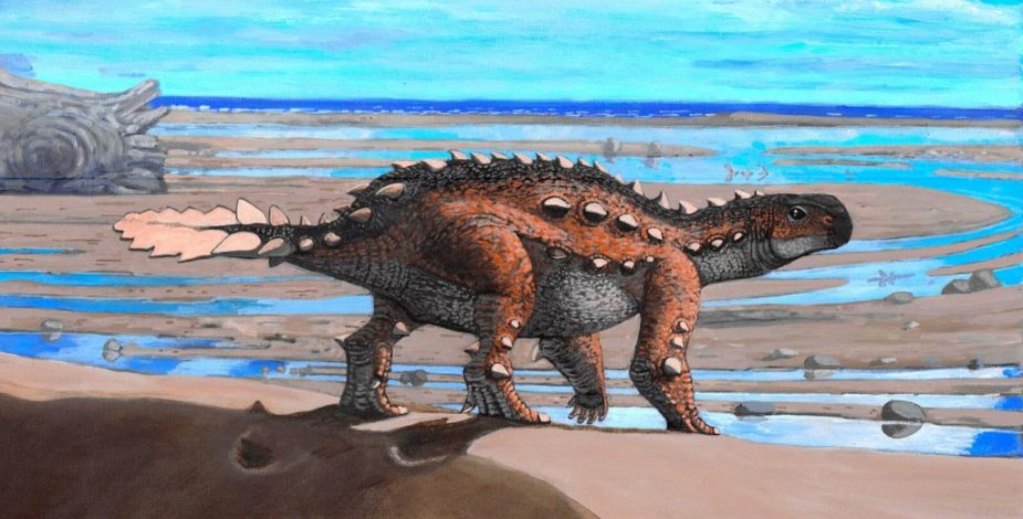 Expedición descubre más de mil huellas de dinosaurios en el norte: “Chile no tiene ningún registro previo de esta envergadura”