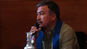 "Es una confesión": diputados critican dichos de Llaitul sobre robo de madera y llaman al Gobierno a interponer querella