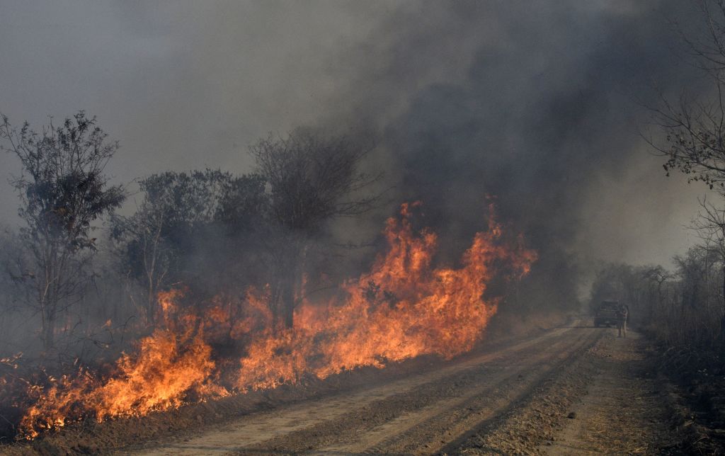 Se destruyen casi 300.000 hectáreas por incendio forestal en Bolivia