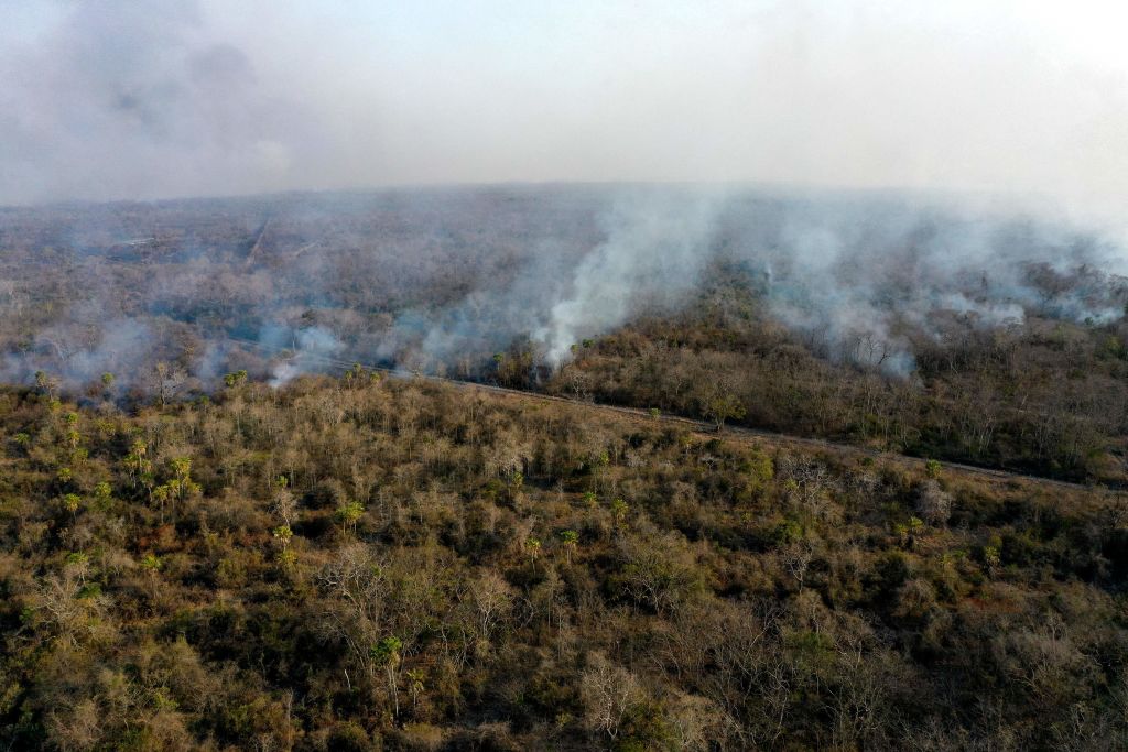 Se destruyen casi 300.000 hectáreas por incendio forestal en Bolivia