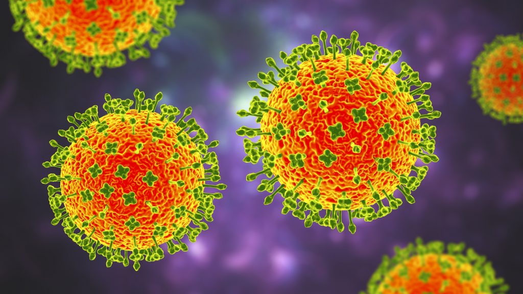 Qué es Henipavirus y cuáles son sus síntomas