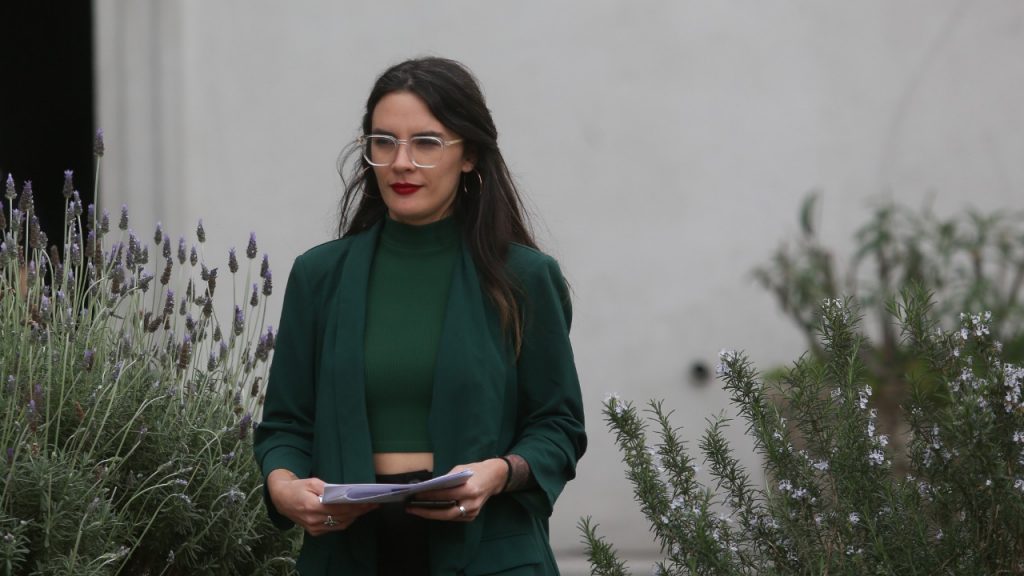 Ministra Vallejo por renuncia de Jeanette Vega: "La comunicación que ella trató de gestionar con Llaitul no fue ni instruida ni fue informada"