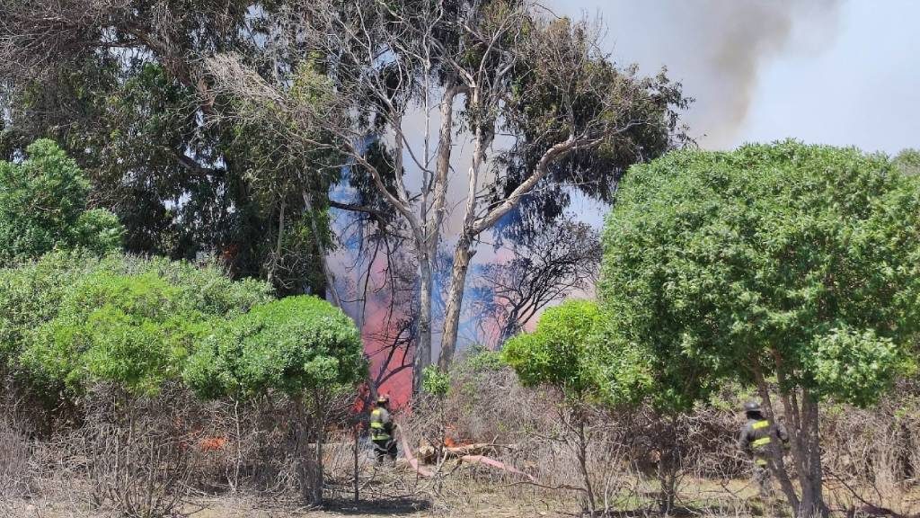 Decretan Alerta Roja por incendio forestal en La Serena