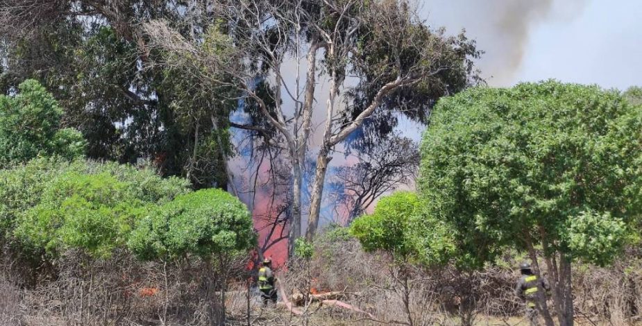 Decretan Alerta Roja por incendio forestal en La Serena