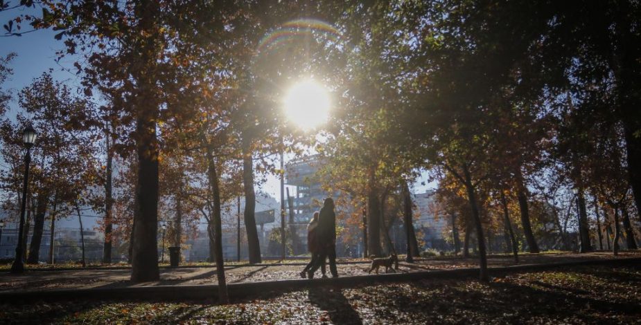 Línea 7 del Metro de Santiago: autoridades anuncian que no se intervendrá el Parque Forestal