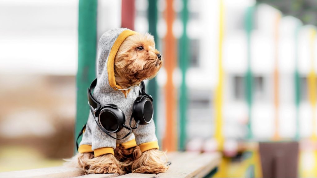 Expopet 2022: un panorama especial para pasar con la familia y las mascotas