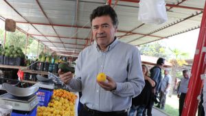 Frambuesas chilenas con Hepatitis A en Estados Unidos: diputados de la comisión de Agricultura citan a declarar a ministro de la cartera y a directora del SAG