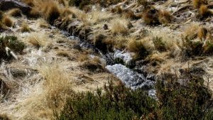 Heraldo Muñoz por fallo del río Silala: "Lo fundamental para Chile era el reconocimiento de que el curso de agua es internacional"