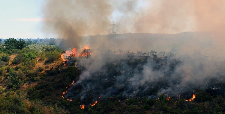 Conaf Habla De Intencionalidad En Incendio Forestal Del Jardín Botánico De Viña Del Mar Y