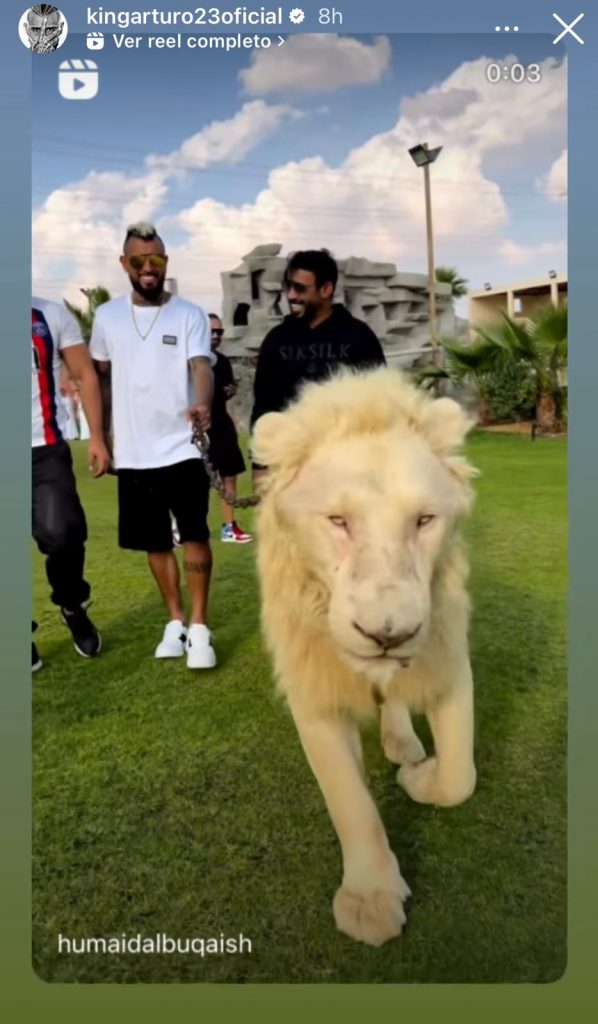 Con leones y tigres: Las polémicas imágenes de Arturo Vidal en casa de  multimillonario en Dubai