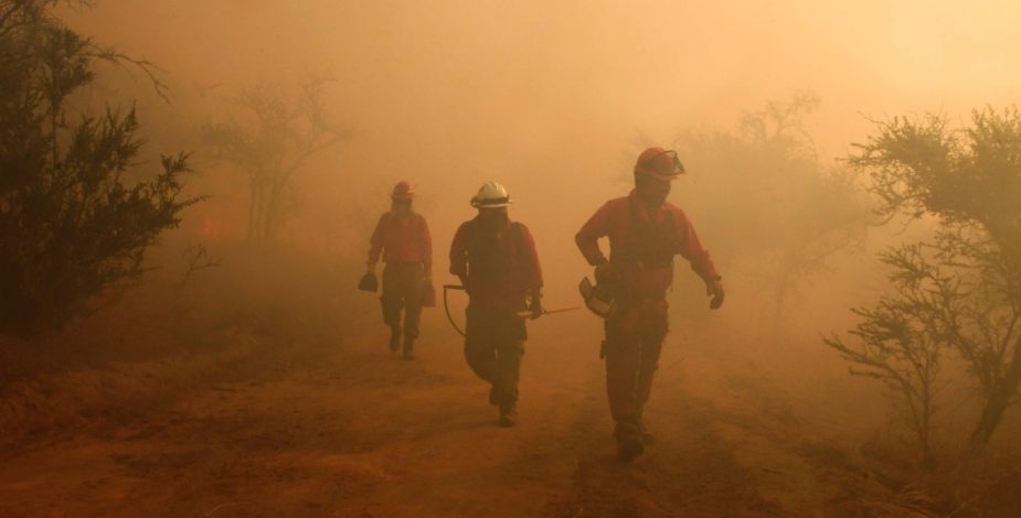 Declaran Alerta Roja para la comuna de Melipilla por incendio forestal