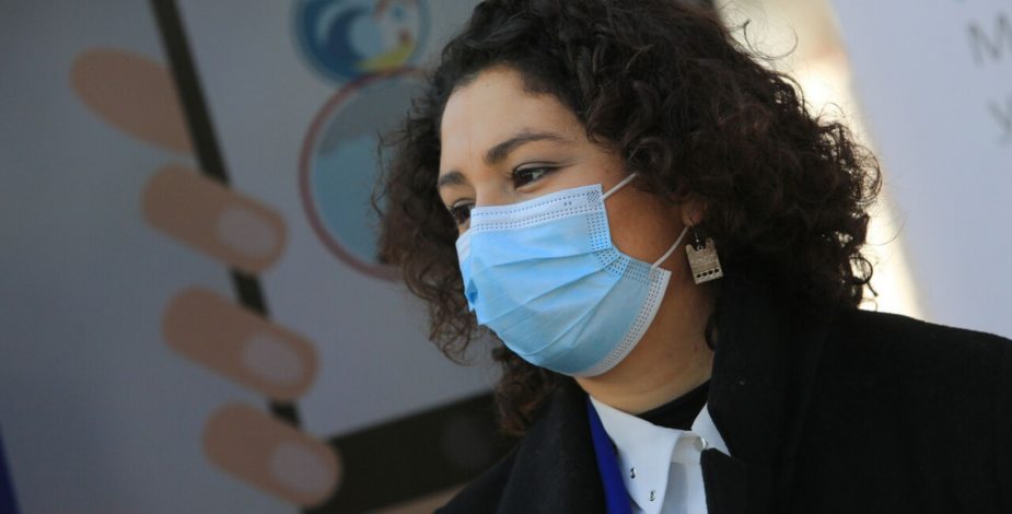 Ante plaga de moscas: alcaldesa de Melipilla pide oficiar al ministerio del Medio Ambiente