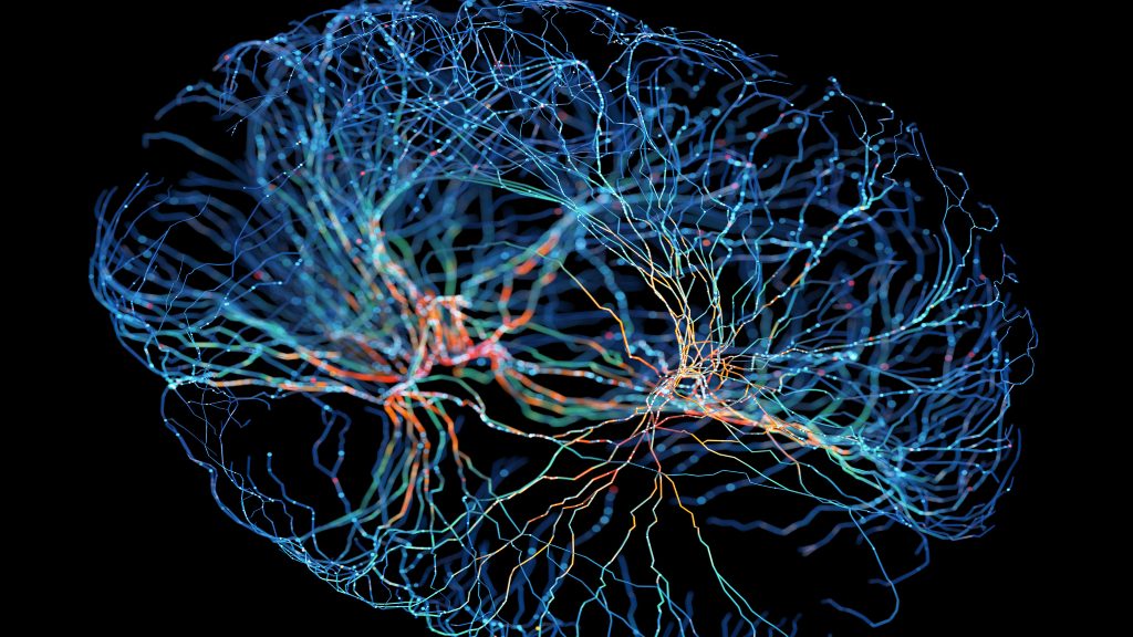 Neurocientífica por efectos cerebrales de las drogas: "Lo que están haciendo es hackear los sistemas en nuestro cerebro"