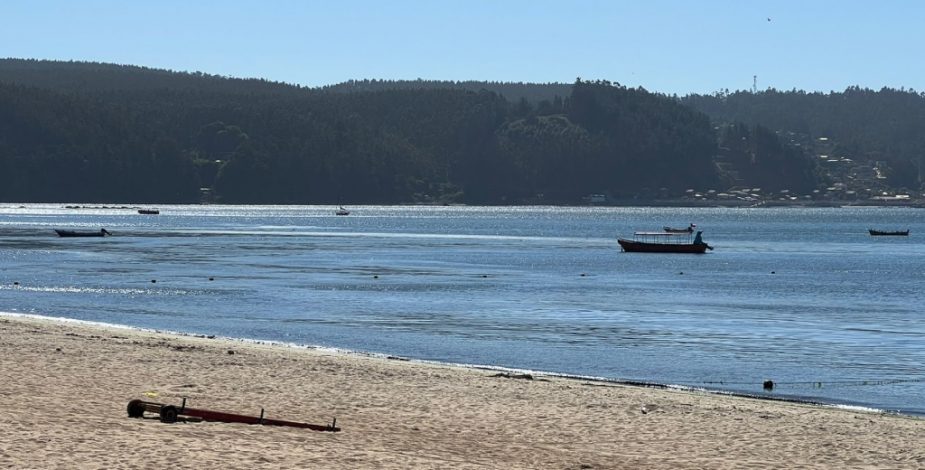 “No es normal que esté tan cerca de la costa”: pescadores graban un tiburón en la playa Dichato