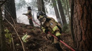 Incendios forestales en Chile: hectáreas afectadas aumentaron 244% respecto a la temporada anterior