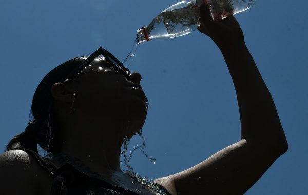 Ola de calor: Urgenciólogo detalla riesgos de las altas temperaturas en personas y mascotas