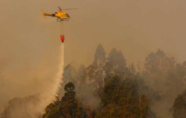 Por riesgo de incendios forestales: Conaf cierra siete parques nacionales ante ola de calor