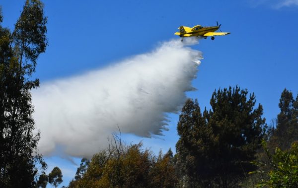 Incendios forestales en Chillán, Chillán viejo, Quillón y Quirihue han consumido cerca de 750 hectáreas