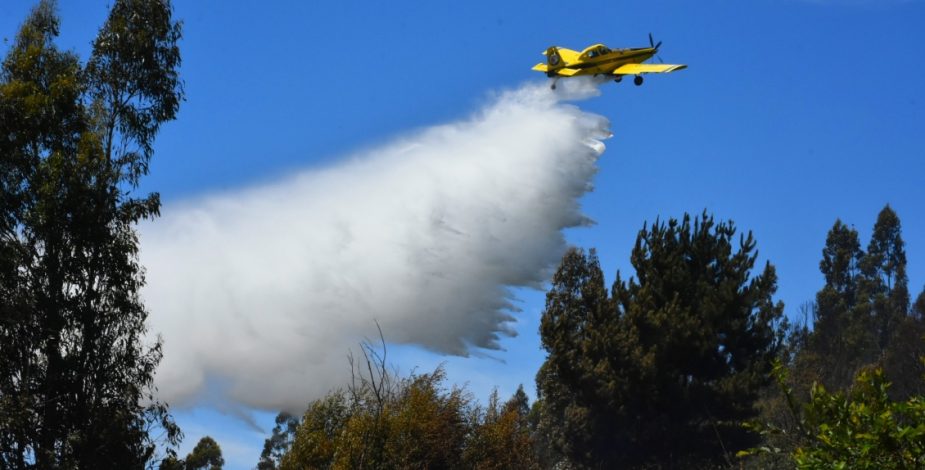 Incendios forestales en Chillán, Chillán viejo, Quillón y Quirihue han consumido cerca de 750 hectáreas