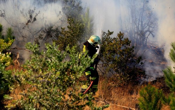 Comandante del Cuerpo de Bomberos de Lota por incendios forestales: "Uno de los puntos críticos ha sido la demografía"