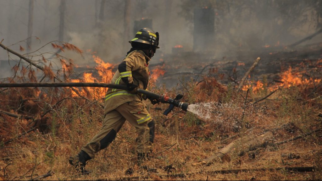 Declaran alerta amarilla en Melipilla por incendio forestal: Ha consumido 242 hectáreas