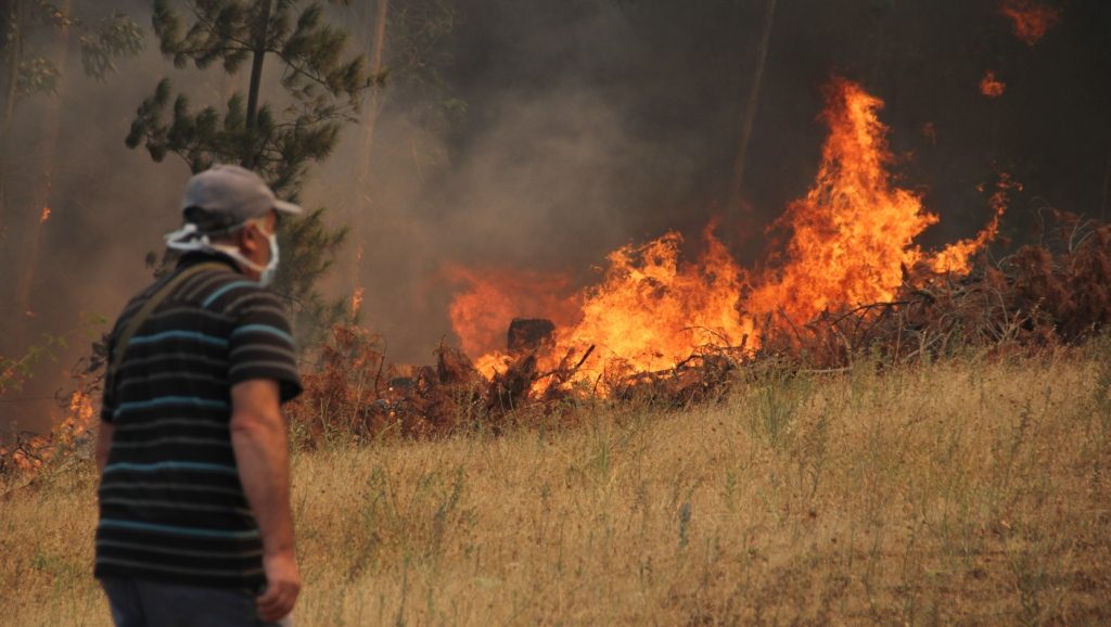 Incendios forestales: Gobierno entrega medidas para ir en ayuda de pequeños agricultores afectados