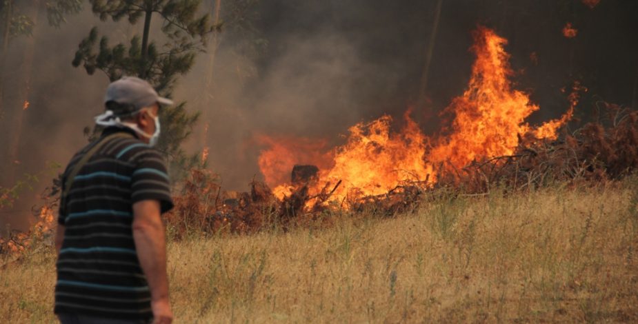 Incendios forestales: Gobierno entrega medidas para ir en ayuda de pequeños agricultores afectados