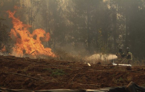 Climatólogo Raúl Cordero por olas de calor e incendios forestales: "Las cosas no se anticipan buenas para febrero"