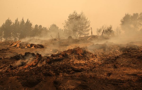 Ocho personas han pasado a control de detención por los incendios: solo uno quedó en prisión preventiva