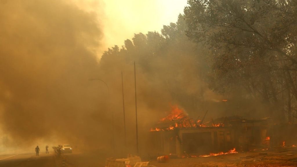 Incendios forestales: ministra de Salud señala que "las redes de urgencia están todas funcionando"