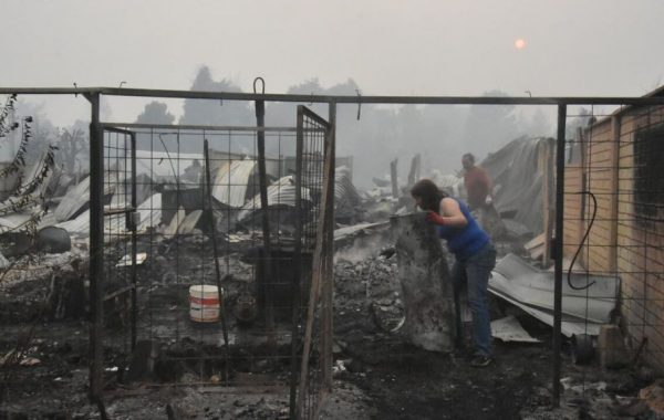 Alcalde de Purén hizo un llamado al sector empresarial para acudir en ayuda tras los incendios forestales