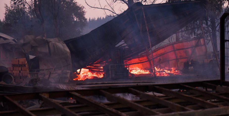 Encapuchados incendian piscicultura en La Araucanía