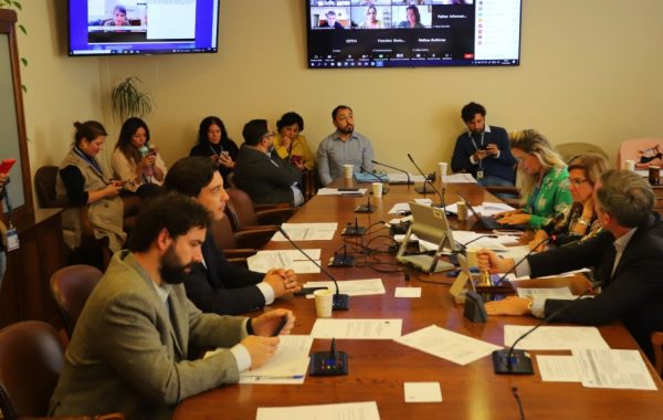 "Ley Naín-Retamal": diputados fusionan proyectos para entregar mayor protección a Carabineros