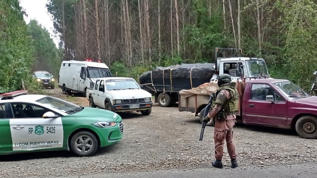 Robo de madera en Fresia: carabineros detienen a seis personas en flagrancia en medio de predio forestal