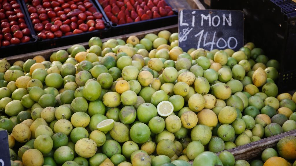 Mejores Alimentos de Temporada: Odepa destaca baja en el precio de carnes blancas y alza en los limones