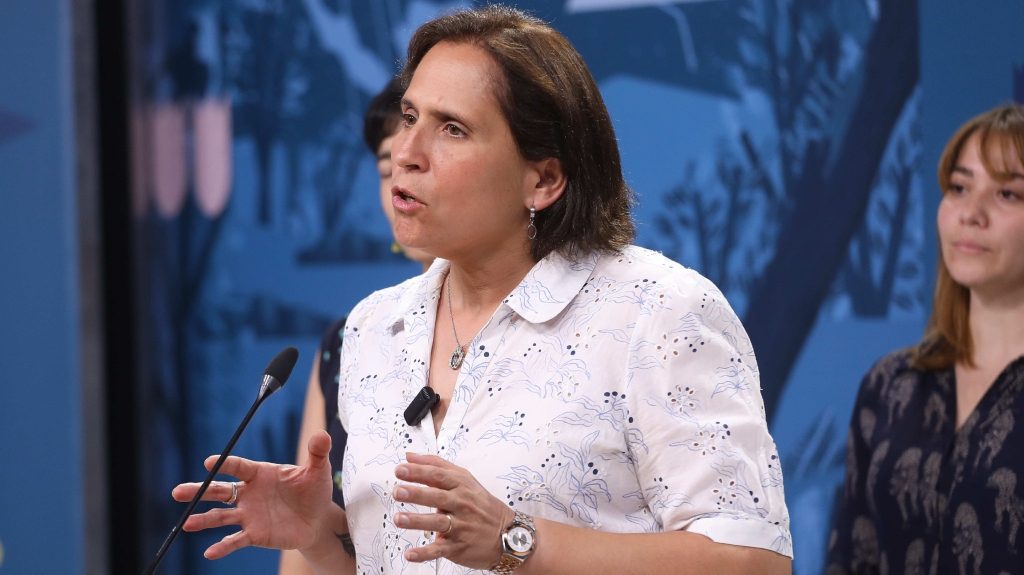 Carolina Leitao y demolición de "narco casas": "Hoy tienen un efecto comunicacional, pero no sabemos cuáles son los resultados efectivos"