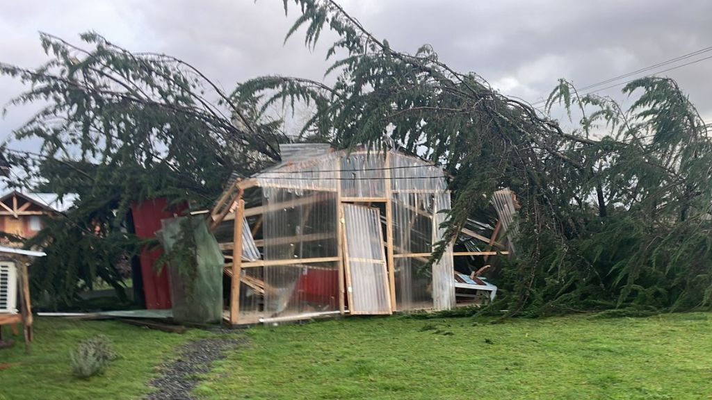 Fuertes vientos y lluvias provocan estragos en Los Lagos: un árbol cayó en una casa y una bencinera se desprendió