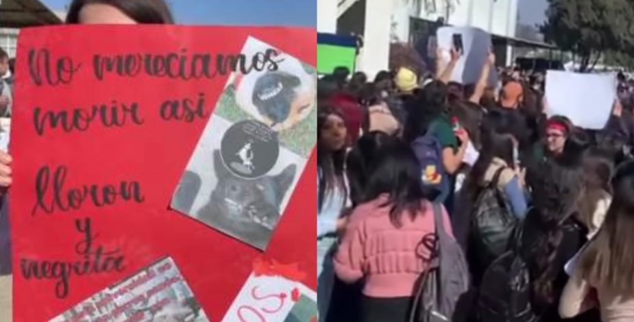 Estudiantes protestan en Universidad del Alba acusando que perros fueron sacrificados para laboratorio