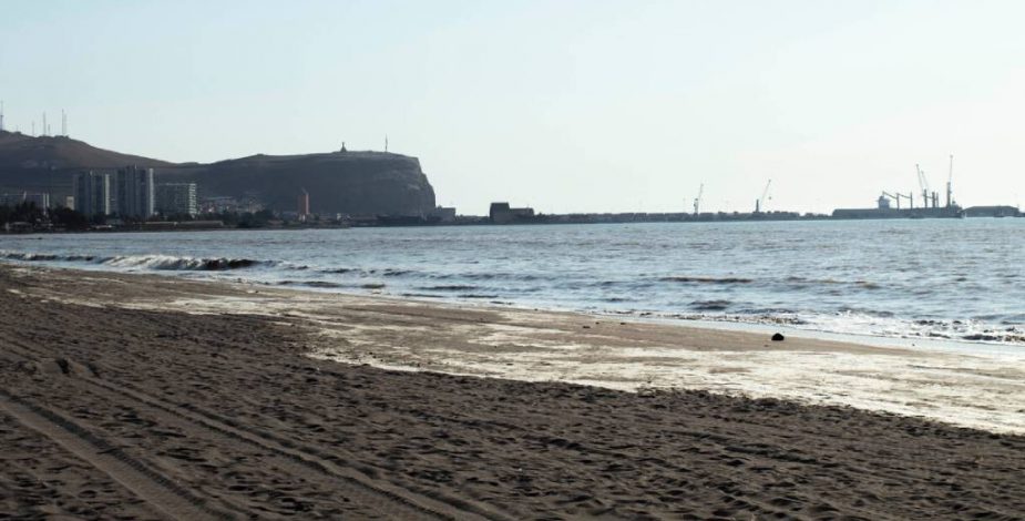 Hábitat de las tortugas verdes: anuncian creación de Reserva Marina La Puntilla-Playa Chinchorro