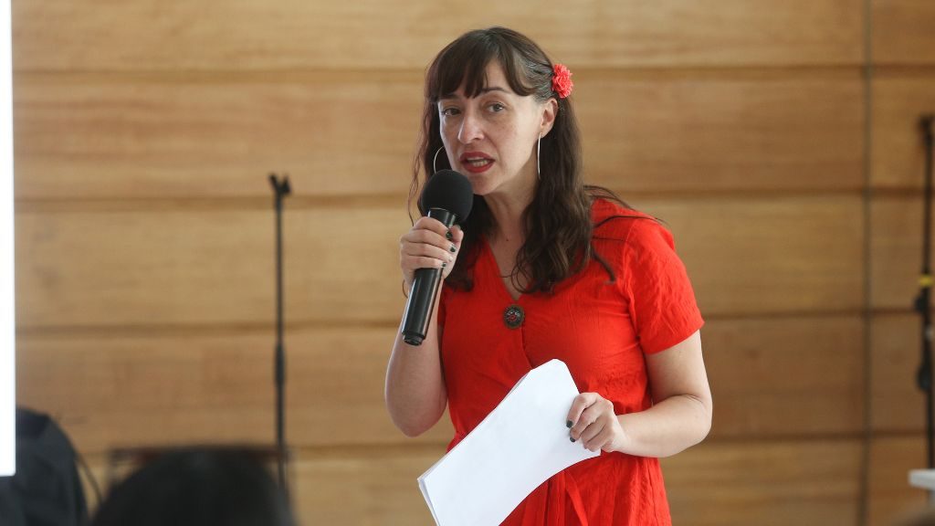 Subsecretaria de Ciencia y Tecnología por Cuenta Pública: "Nunca habíamos visto un compromiso como este en ningún Gobierno"