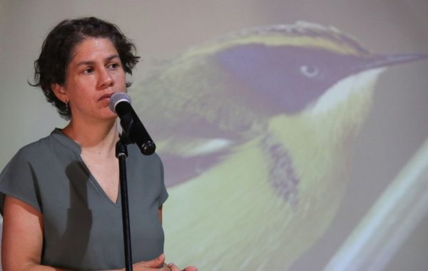 "De una economía lineal a una circular": Ministra Rojas destaca avances en la ley de Residuos orgánicos en el Día Mundial del Medioambiente