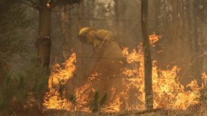 "Estamos seguros de no tener responsabilidad": Saesa tras allanamiento de Fiscalía por los incendios forestales