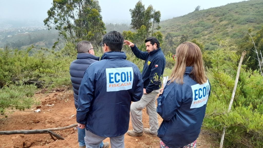 Valparaíso: PDI investiga hallazgo de cráneo en cerro Mariposa